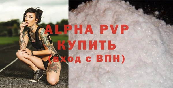 ешки Иннополис