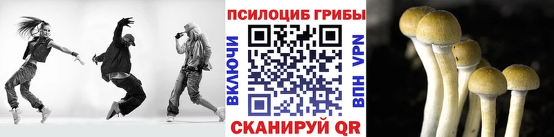 Галлюциногенные грибы Psilocybine cubensis  Купить закладки  Железноводск 